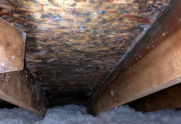 mold in the attic found during a winter mold inspection in Columbus Ohio