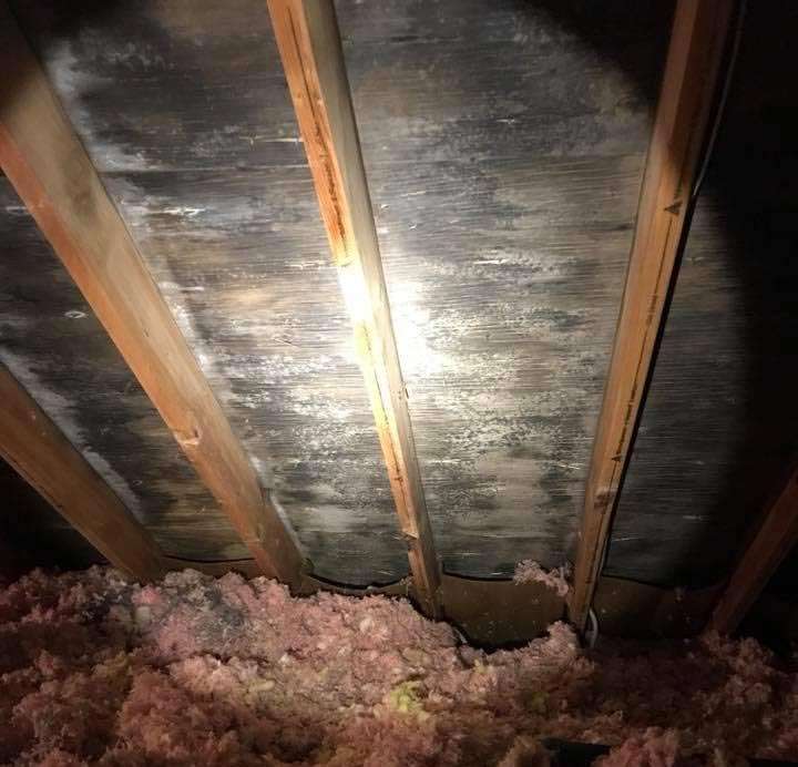 mold in the attic found during a mold inspection in Columbus Ohio