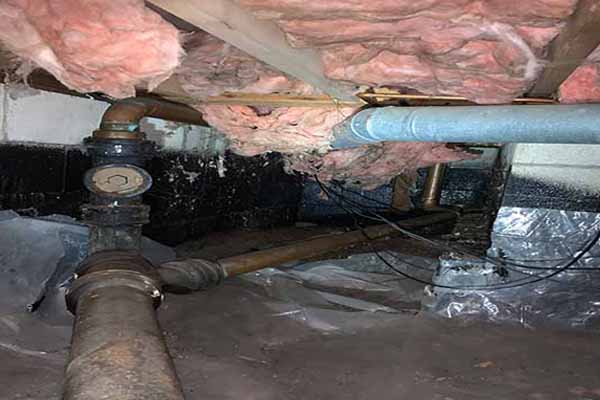 crawl space inspections