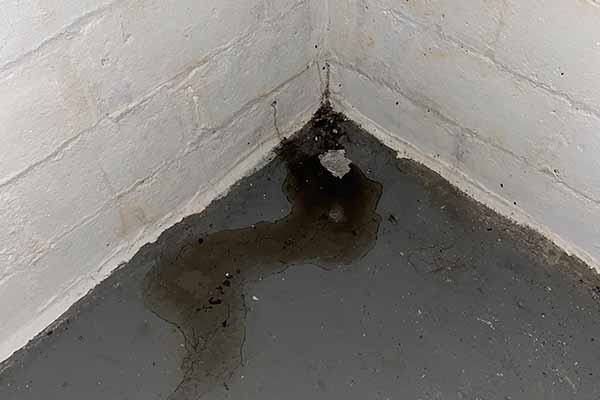 basement cracks on walls home inspection checklist