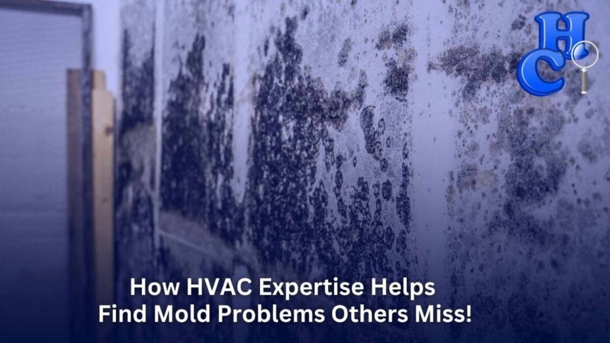 How HVAC Expertise Helps Find Mold Problems Others Miss!