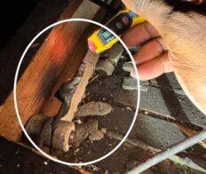 Knob-and-Tube-Wiring-Testing-home-inspection