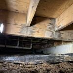 Moisture in crawl spaces home-inspection-columbus-ohio
