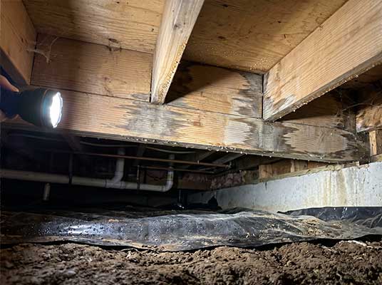 Moisture in crawl spaces home-inspection-columbus-ohio