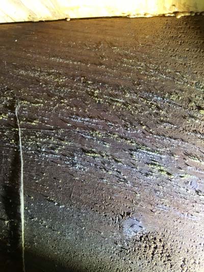 mold in the crawlspace found during a mold inspection