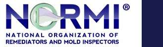 NORMI-badge