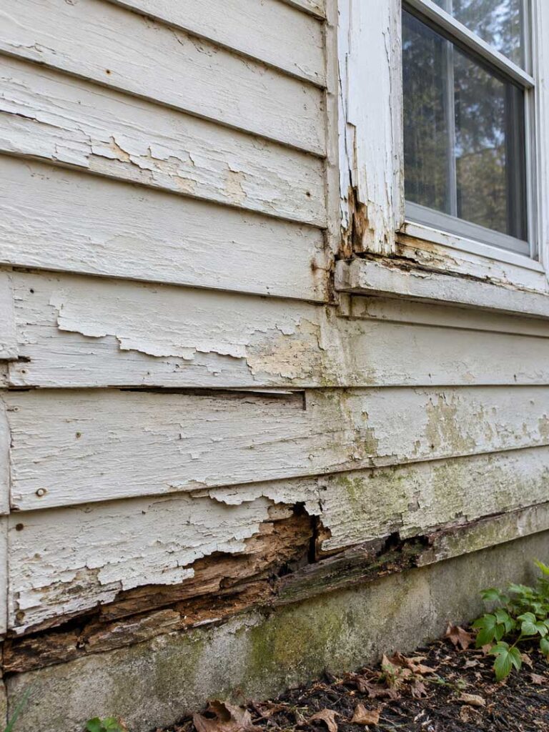 Wood Siding Rot and Deterioration