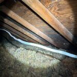 Attics