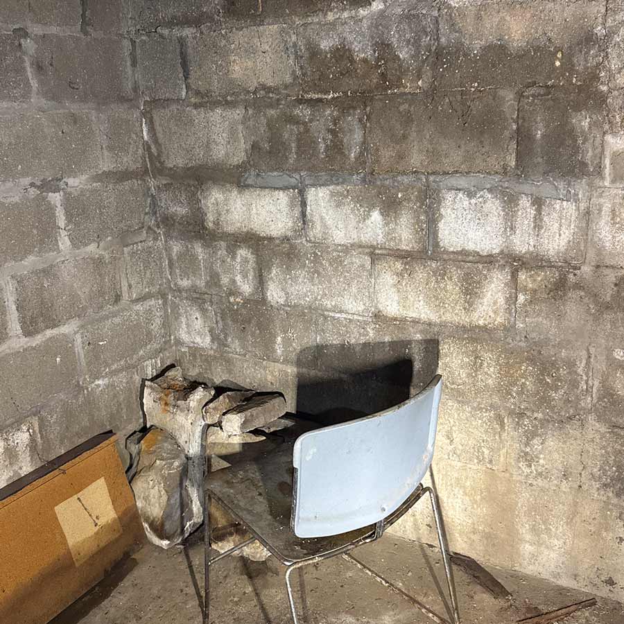 Mold-like growth and staining on a basement foundation wall found during a Columbus, Ohio home inspection