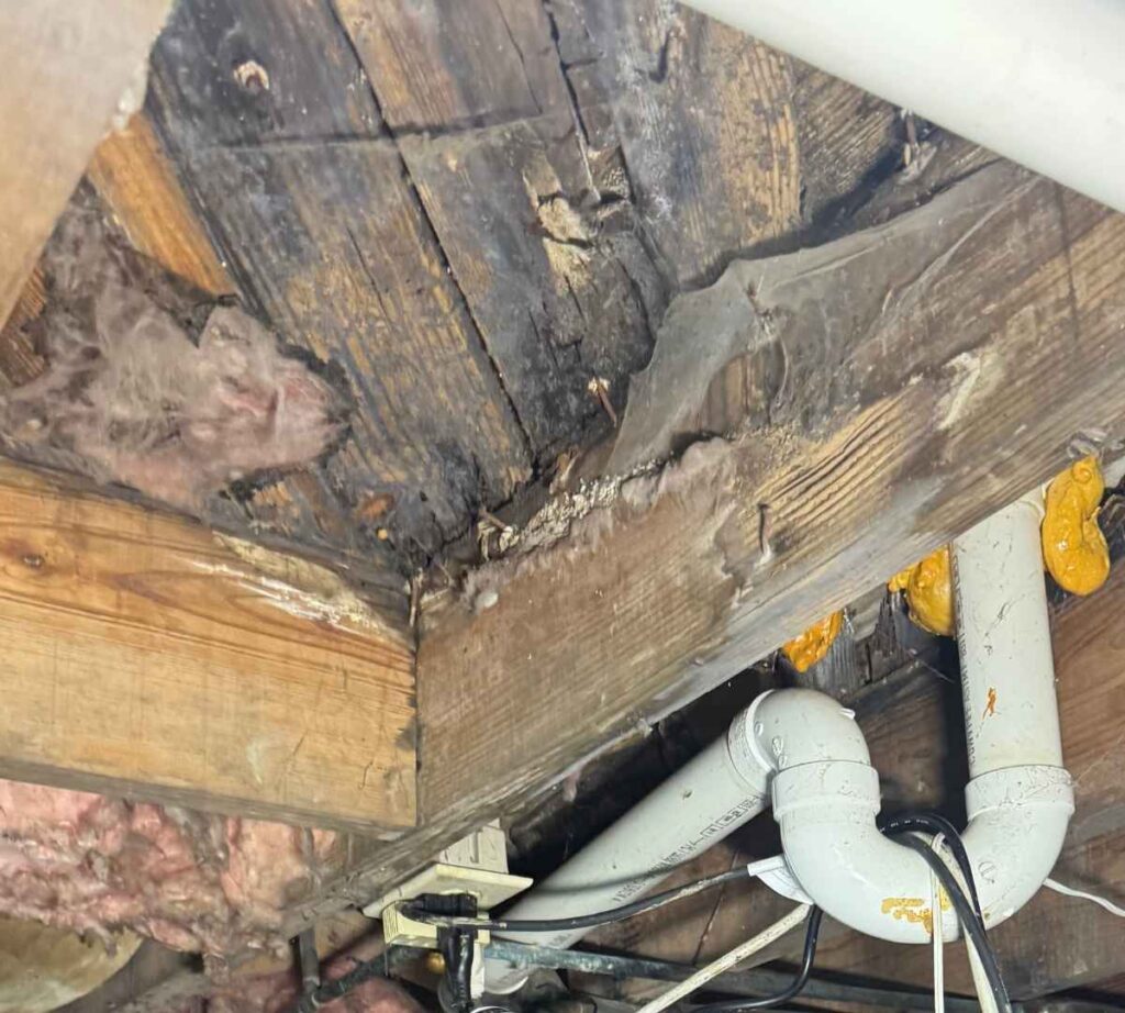 Close-up of dark discoloration, cracking, and visible deterioration on wooden floor framing in a residential crawl space, near plumbing pipes and insulation.