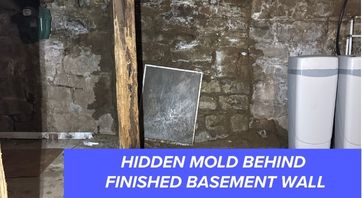 hidden mold home inspection columbus ohio