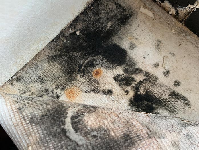 Mold inspection and testing service in Ohio