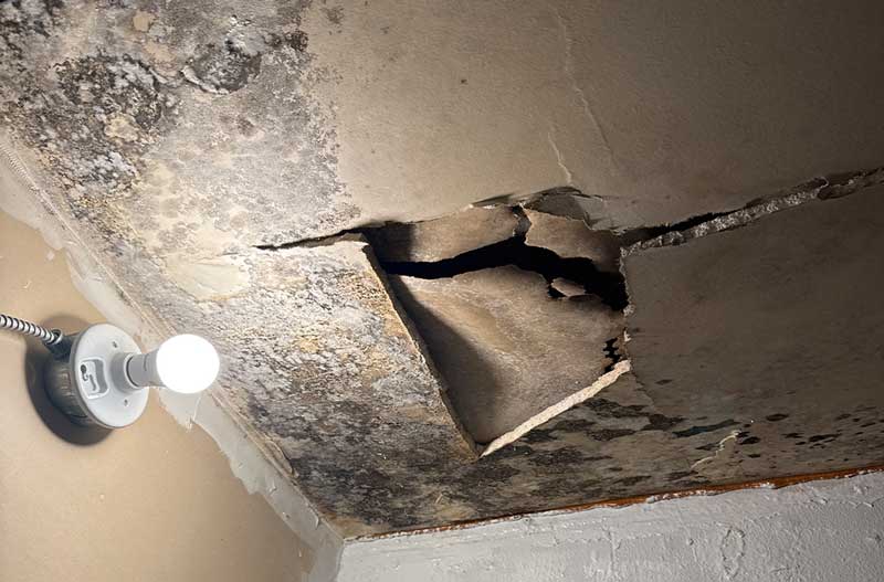 Mold inspection service in Columbus Ohio by HC Inspectors
