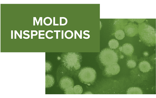 Commercial mold inspection in Columbus, Ohio