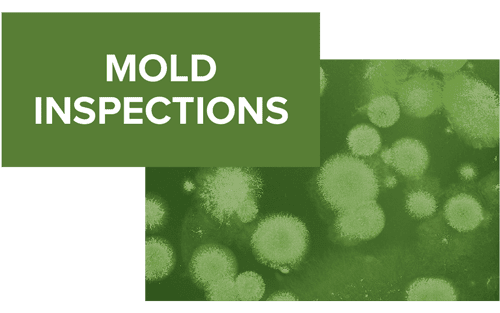 Commercial mold inspection in Columbus, Ohio