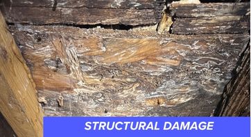structural damage home inspection columbus ohio