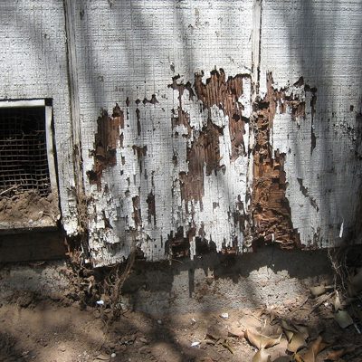 wood damage found during a termite inspection in Columbus Ohio